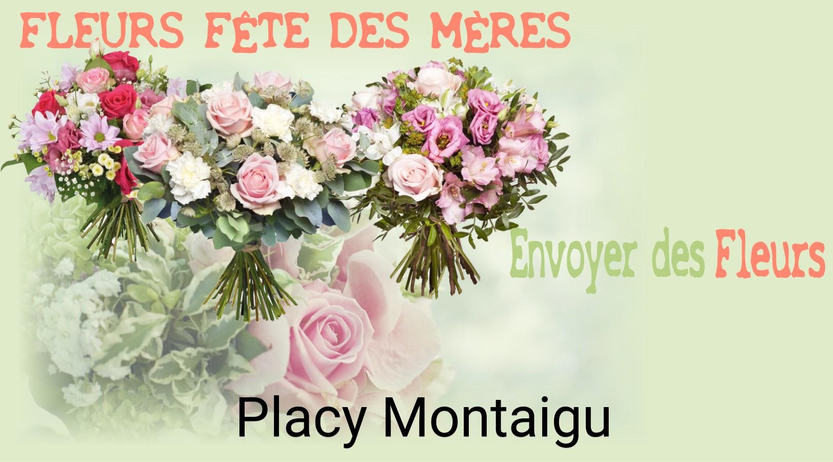 Bouquet de Fête des Mères livré à Placy-Montaigu
